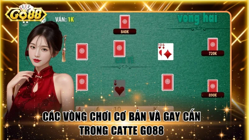 Các vòng chơi cơ bản và gay cấn trong catte Go88